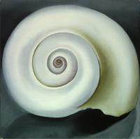 O Keeffe, Georgia - Shell